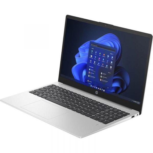  HP 250 G10 (816L4EA) Silver -  3