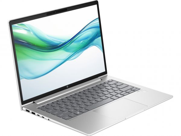  HP ProBook 445 G11 (8Z9P6AV_V1) Silver -  2