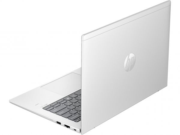  HP ProBook 445 G11 (8Z9P6AV_V1) Silver -  4