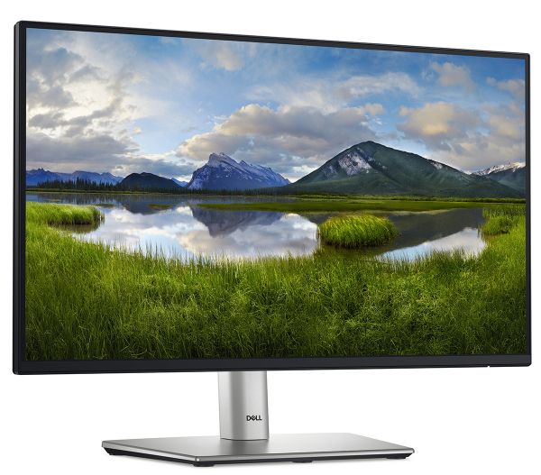  DELL 21.5" P2225H D-Sub, HDMI, DP, USB3.2, IPS, 100Hz, sRGB 99%, Pivot 210-BMHD -  3