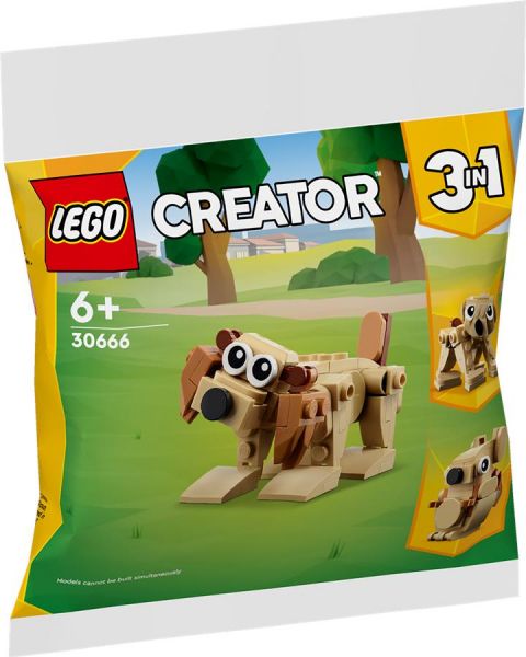  LEGO Creator   (30666) -  1