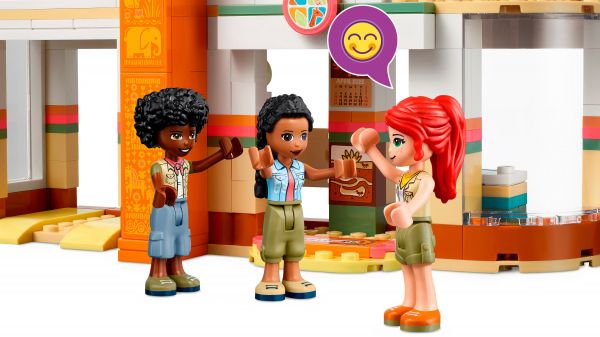  LEGO Friends    41717 -  12