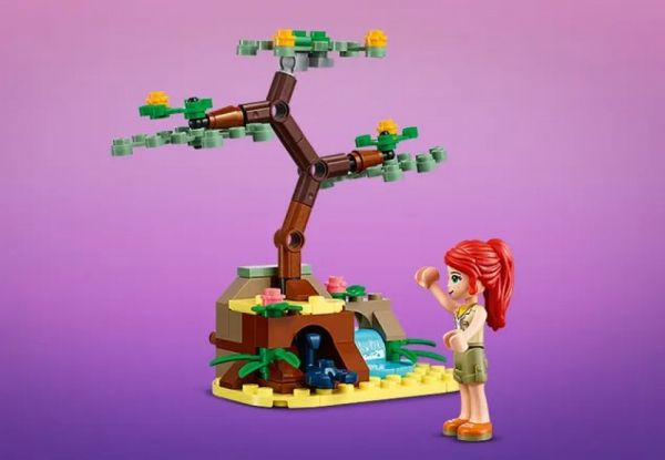  LEGO Friends    41717 -  6