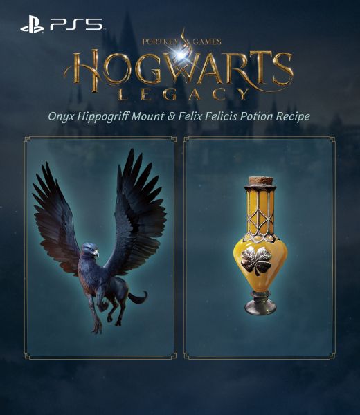   PS5 Hogwarts Legacy, BD  5051895413425 -  12