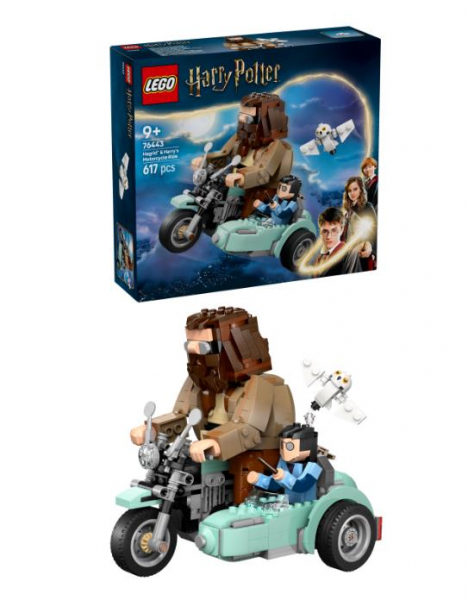  LEGO Harry Potter       76443 -  1