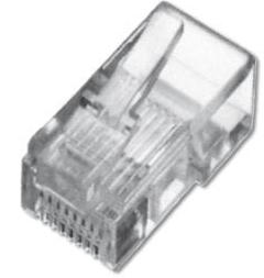  RJ 11 Digitus (A-MO6/4SF) 6P4C, 100  -  1