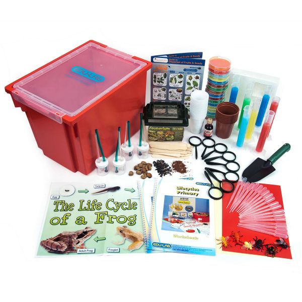      tts Life Cycles Experiments Class Kit SC00859 -  5