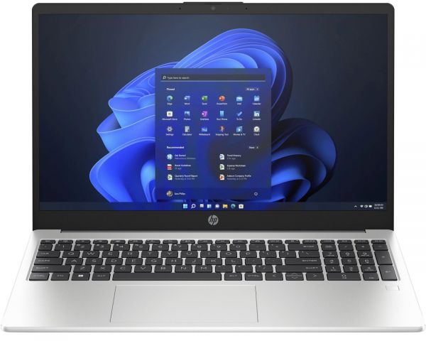  HP 255 G10 Turbo Silver (859P6EA) -  1