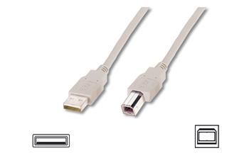  ASSMANN USB 2.0 (AM/BM) 1.8m, biege -  1