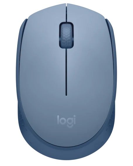   Logitech M171, Blue/Grey, USB (2.4 GHz), 1000 dpi, 3 , 1xAA (910-006866) -  1