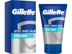    100 Series  GILLETTE