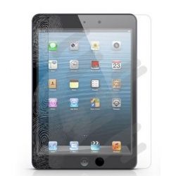   JCPAL Lotus Anti-Grease  iPad mini (High Transparency) (JCP1031) -  4