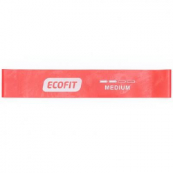  Ecofit MD1319 Medium 0.950610 