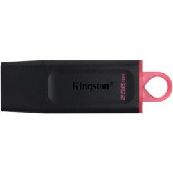 USB   Kingston 256GB DataTraveler Exodia Black/Pink USB 3.2 (DTX/256GB) -  1