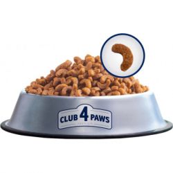     Club 4 Paws . ǳ   900  (4820083909139) -  3
