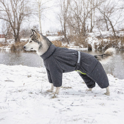    Pet Fashion "COLD" M () (4823082426294) -  5