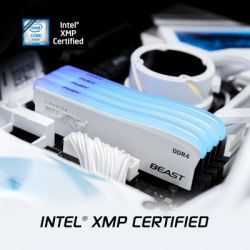     DDR4 16GB 3600 MHz Beast White RGB SE Kingston Fury (ex.HyperX) (KF436C18BWA/16) -  13