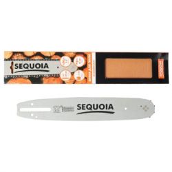     SEQUOIA 3/8", 1.3 , 12"/30  (B120SDEA041) -  3