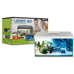  Leddy Day&Night   60 54   AquaEl (124533) -  2