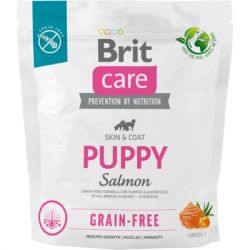     Brit Care Dog Grain-free Puppy   1  (8595602558827)