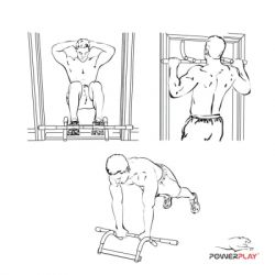  PowerPlay 4129 Pull Up Pro Black   (PP_4129) -  5