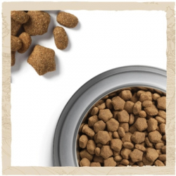     Purina Dog Chow  ,       2.5  (7613034488268) -  10