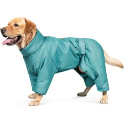    Pet Fashion Cold   XS () (4823082425365) -  3