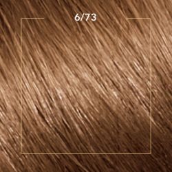    Wella Color Perfect 6/73   (4064666598338) -  2