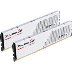     DDR5 32GB (2x16GB) 5600 MHz Ripjaws S5 Matte White G.Skill (F5-5600J3036D16GX2-RS5W) -  2