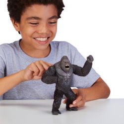  Godzilla vs. Kong     () (35507) -  4