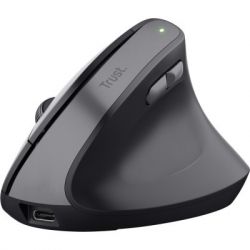  Trust Bayo 2 Ergonomic Wireless/USB-A Black (25145)