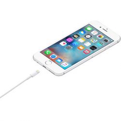   Lightning to USB 1.0m Model A1480 Apple (MUQW3ZM/A) -  3