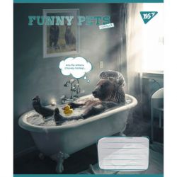  Yes Funny pets 96   (767177) -  5