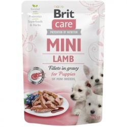     Brit Care Mini        (8595602560318) -  1