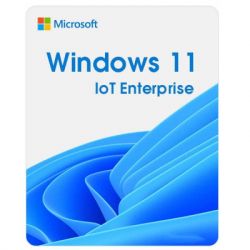   Microsoft Windows 11 IoT Enterprise LTSC 2024 Perpetual, Commercial, OneTime (DG7GMGF0PP49_0001) -  1