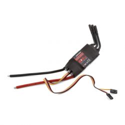   (ESC) HobbyWing Skywalker 100A esc (Skywalker-100A)