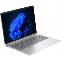  HP ProBook 465 G11 (901H4AV_V1) Silver -  2