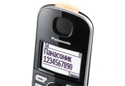  DECT Panasonic KX-TGE510RUS -  6