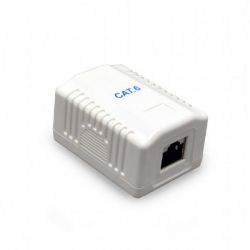     RJ-45, 6 cat,  Cablexpert NCAC-1F6-01