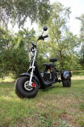 , 2000 ,  Maxxter TRIKE 2.0 (blak) -  8