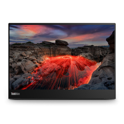 LENOVO 14" 16:10 IPS    , 22401400, 6  , - , 2xUSB C (PD  M14t Gen2