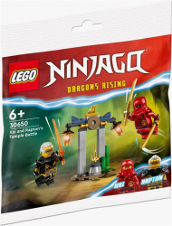  LEGO recruitment Ninjago       30650