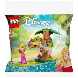  LEGO recruitment Disney Princess     30671