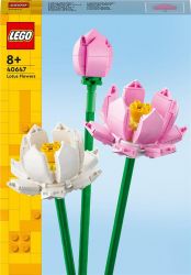  LEGO Iconic   220  (40647) -  1