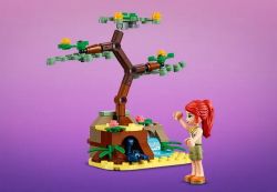  LEGO Friends    41717 -  6