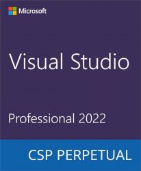 Microsoft Visual Studio Professional 2022 DG7GMGF0D3SJ-0003