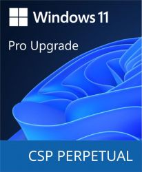  Microsoft Windows 11 Pro Upgrade DG7GMGF0D8H4-0004