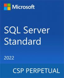 Microsoft SQL Server 2022 Standard Edition DG7GMGF0M80J-0002