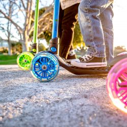 NEON  Glider[N100964] N100964 -  17