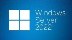 Windows Server 2022 Standard 64Bit English 1pk DSP OEI DVD 16 Core P73-08328